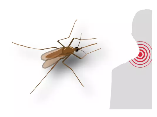 Die Tropenkrankheit Malaria