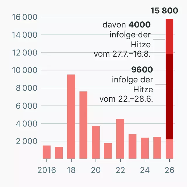 Hitzetote in Deutschland