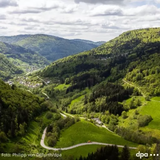 Urlaubsregionen in Deutschland: 5 Fakten zum Schwarzwald