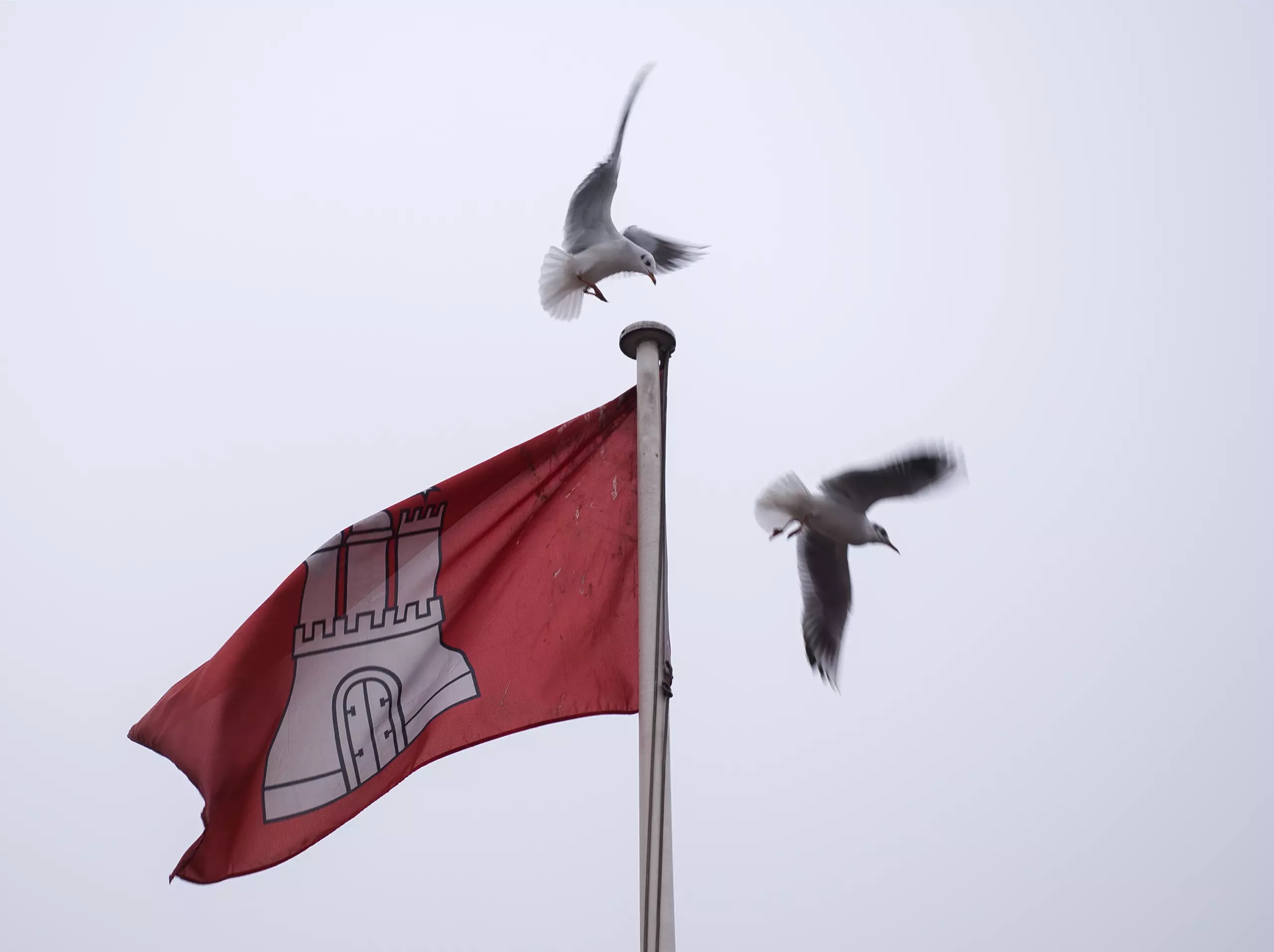 Bürgerschaftswahl Hamburg 2025